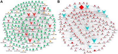 The expression profiles of circular RNAs and competing endogenous RNA networks in intrahepatic cholangiocarcinoma